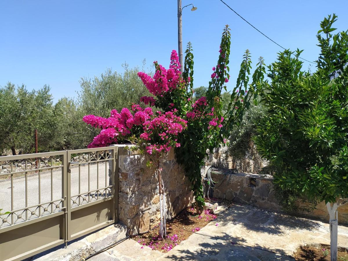 "Villa Kastania" Melidoni, Chania, Crete Exterior photo