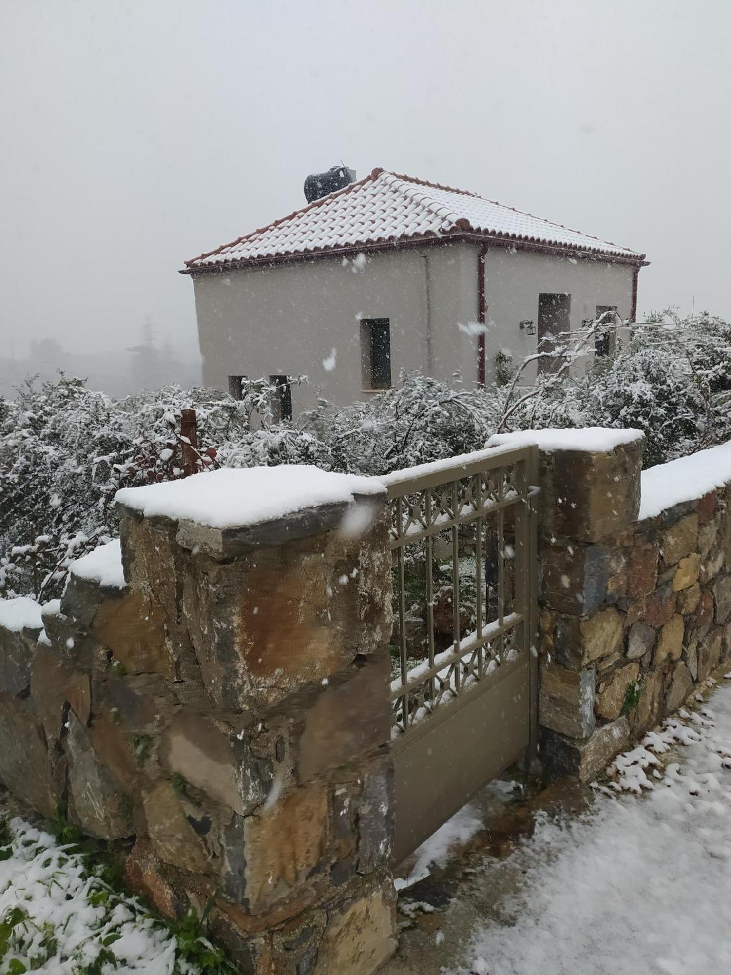 "Villa Kastania" Melidoni, Chania, Crete Exterior photo